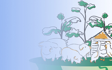  美佑壮（博落回散）