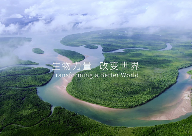 taptap点点官方网站品牌宣传片